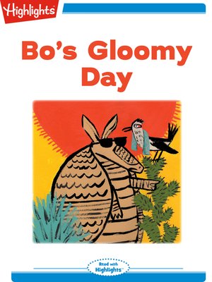 cover image of Bo's Gloomy Day